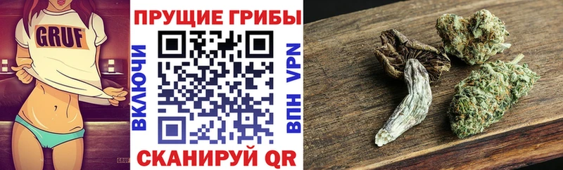 Галлюциногенные грибы мицелий  Старая Русса 